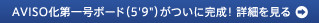 AVISO����ꍆ�{�[�h�i5'9�h�j�����Ɋ����I�ڍׂ�����