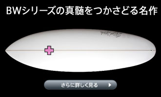 Surf Prescriptions�@�T�[�t�E�v���X�N���v�V�����Y�iDOC�@�h�N�T�[�t�{�[�h�jBUSHWACKER