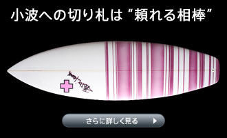 Surf Prescriptions�@�T�[�t�E�v���X�N���v�V�����Y�iDOC�@�h�N�T�[�t�{�[�h�jNEW BUDDY